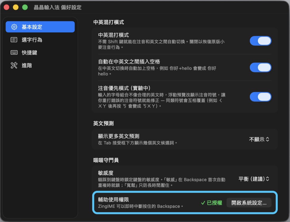 授權後偏好設定顯示「輔助使用權限 ✓ 已授權」